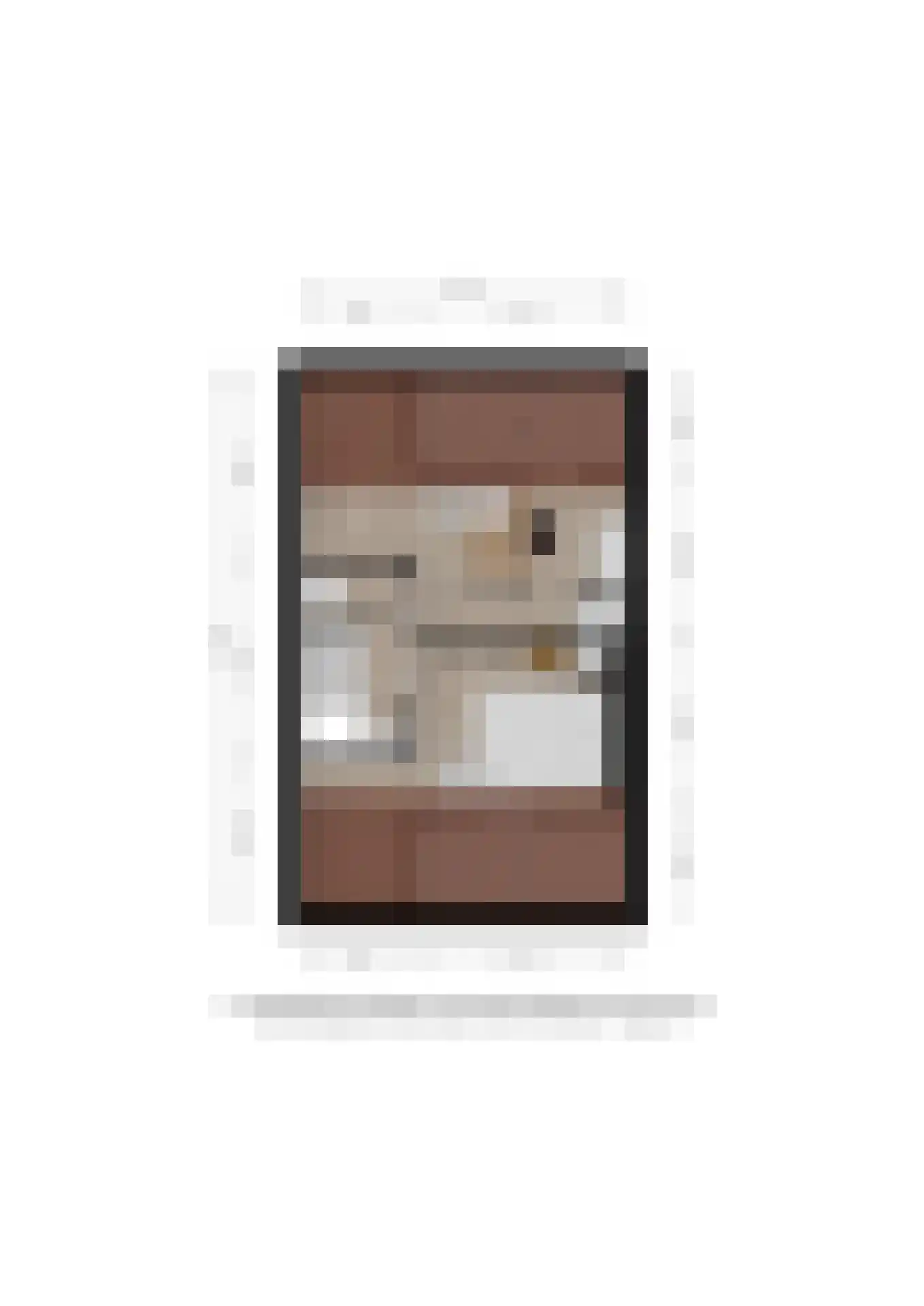 Meerkoet 30 Deventer thumbnail 36