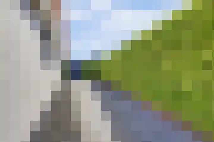 Meerkoet 32 Lathum thumbnail 37