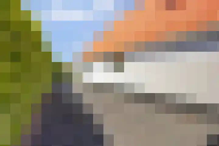 Meerkoet 32 Lathum thumbnail 38