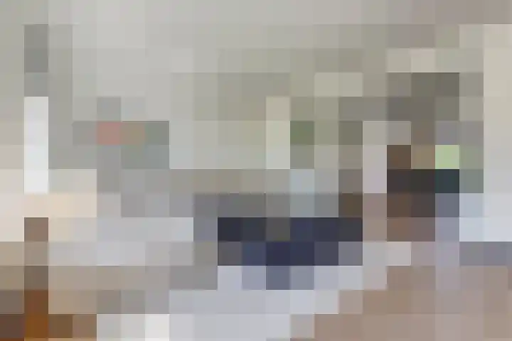 Meerkoet 32 Lathum thumbnail 4