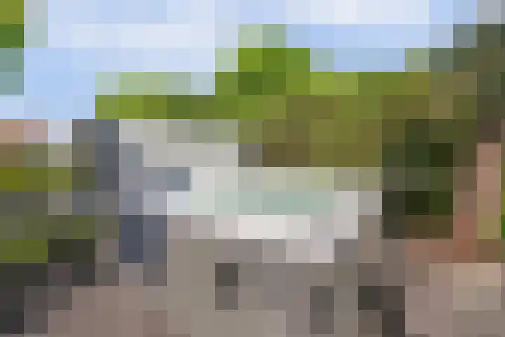 Meerkoet 32 Lathum thumbnail 43