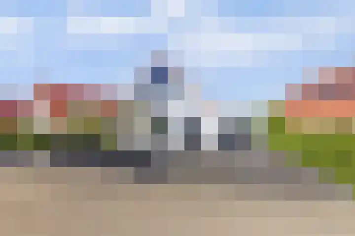 Meerkoet 32 Lathum thumbnail 60