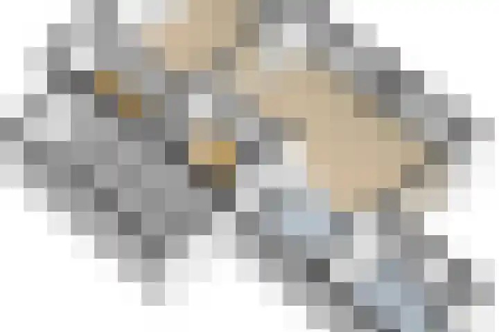 Meerkoet 32 Lathum thumbnail 62
