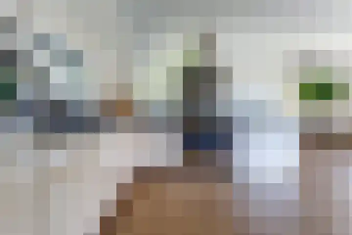Meerkoet 32 Lathum thumbnail 9