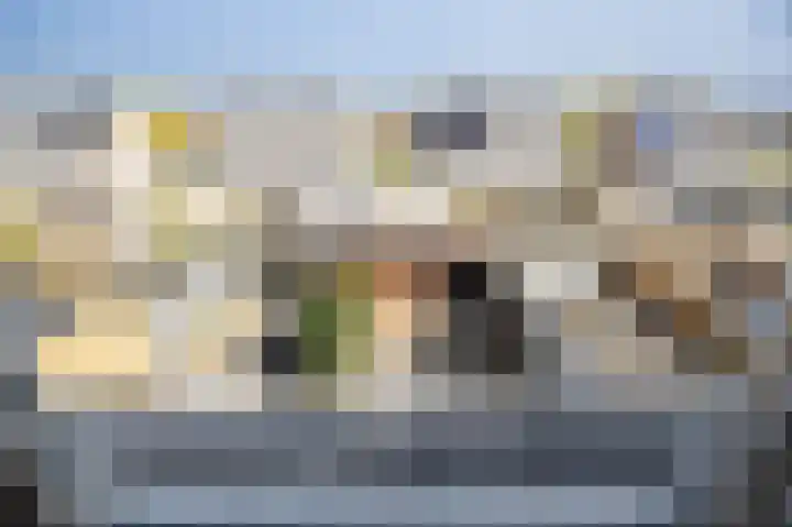 Meerkoet 39 Spanbroek thumbnail 32