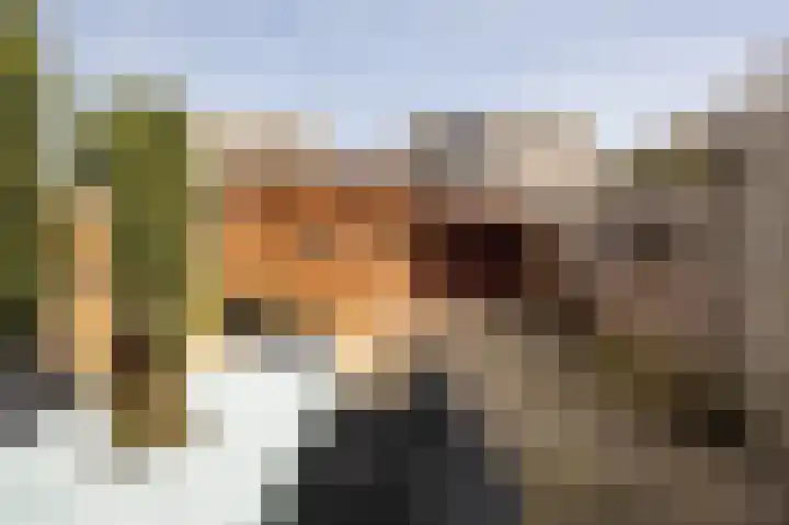 Meerkoet 39 Spanbroek thumbnail 33