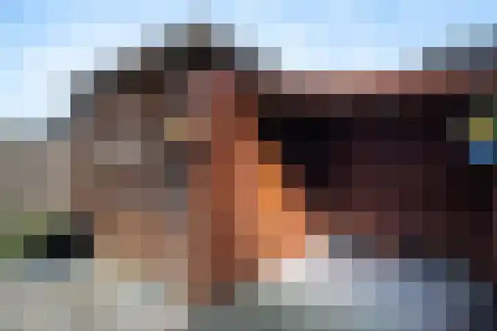Meerkoet 39 Spanbroek thumbnail 36