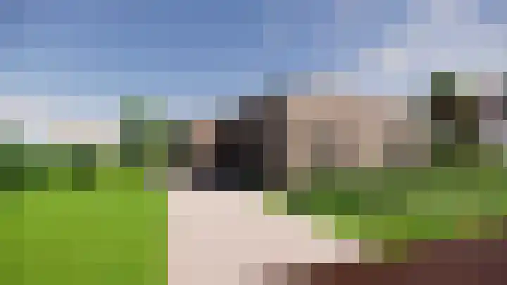 Meerkoet 9 Emmer-Compascuum thumbnail 7