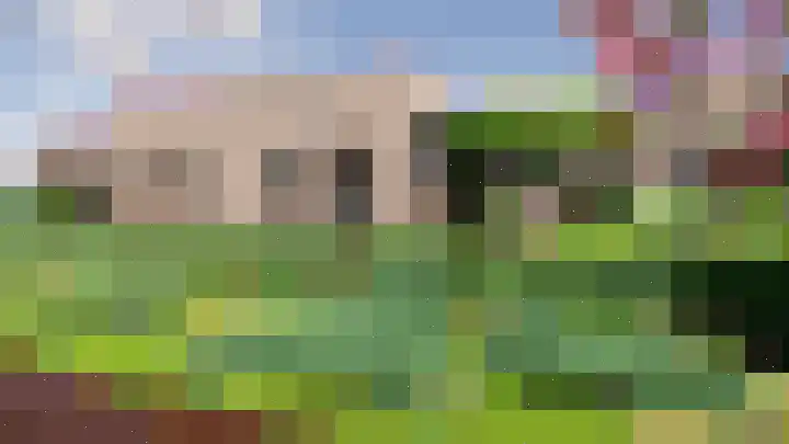 Meerkoet 9 Emmer-Compascuum thumbnail 8