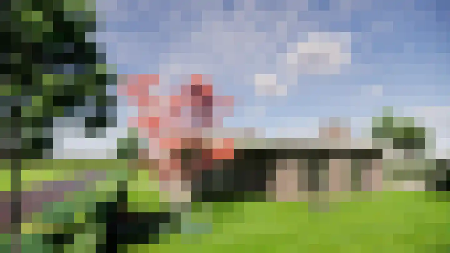 Meerkoet 9 Emmer-Compascuum thumbnail 9
