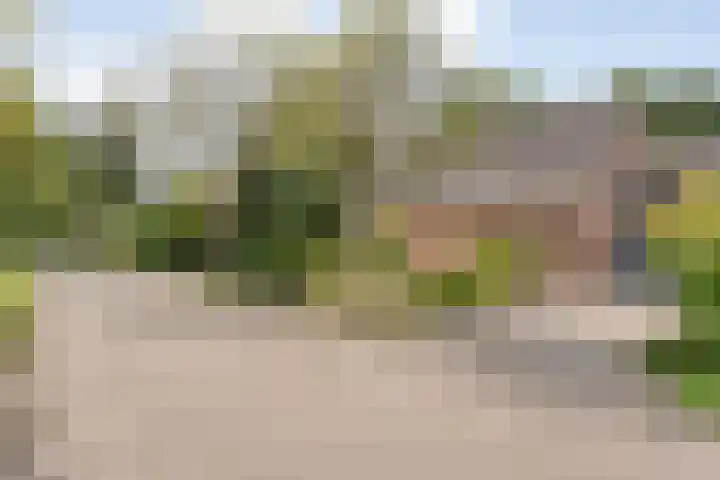 Meerkoetlaan 13 in Ruinerwold