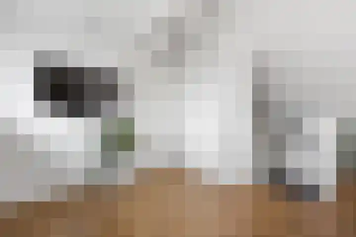 Meerkoetwaard 7 Odijk thumbnail 41