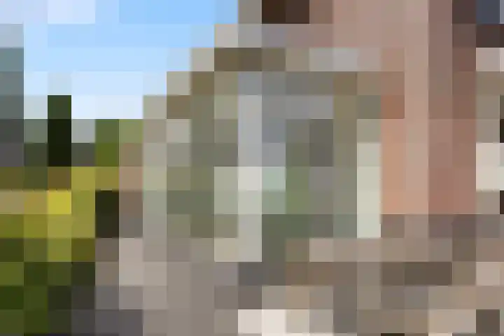 Meerkoetwaard 7 Odijk thumbnail 45