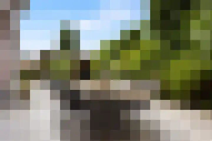 Meerkoetwaard 7 Odijk thumbnail 46