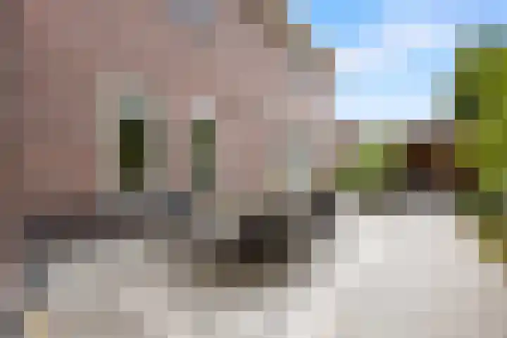 Meerkoetwaard 7 Odijk thumbnail 47