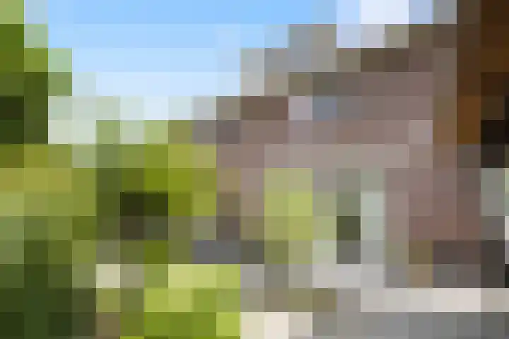 Meerkoetwaard 7 Odijk thumbnail 6