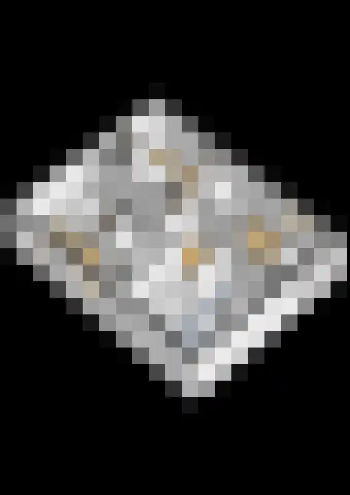 Meerkoetwaard 7 Odijk thumbnail 66