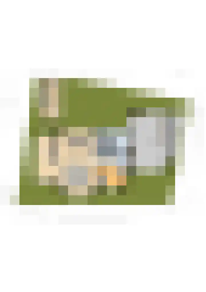 Meerkoetwaard 7 Odijk thumbnail 68