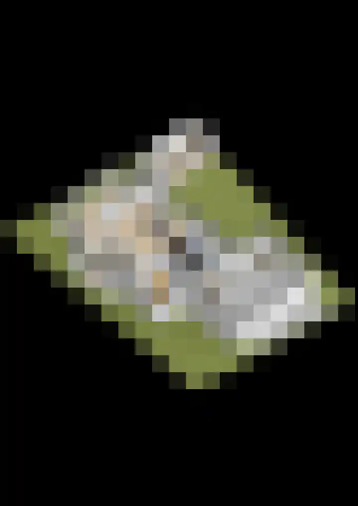 Meerkoetwaard 7 Odijk thumbnail 69