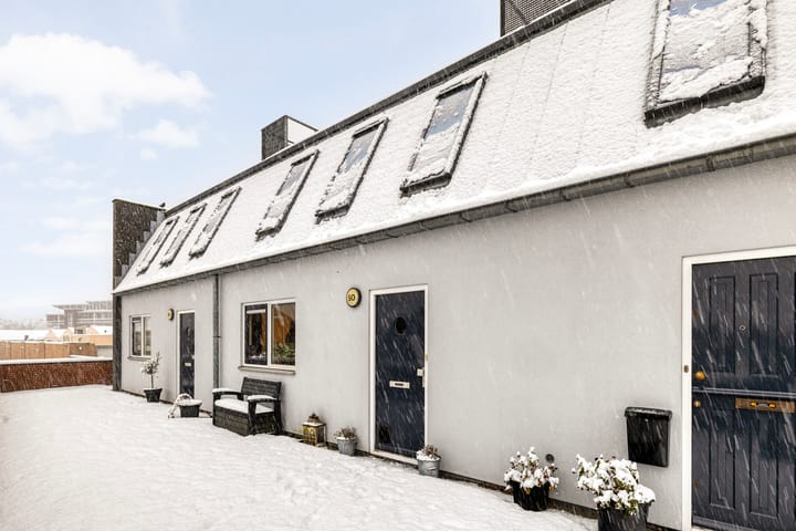 Meerkreuk 50 in Oude Wetering foto