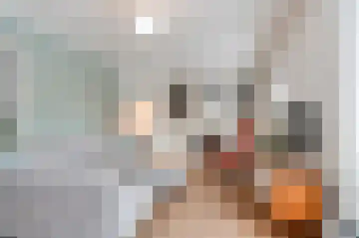 Meerlaan 13 Culemborg thumbnail 10