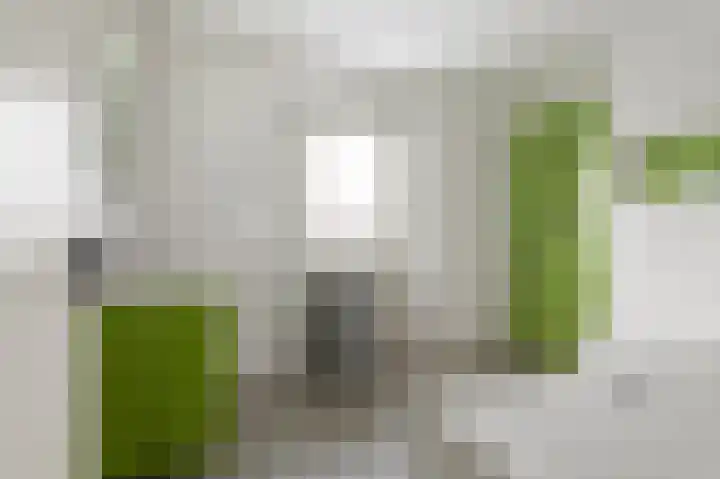 Meerlaan 13 Culemborg thumbnail 27