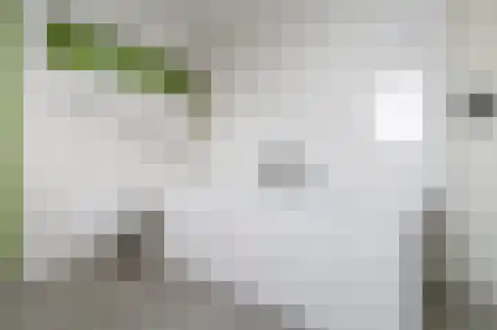 Meerlaan 13 Culemborg thumbnail 28