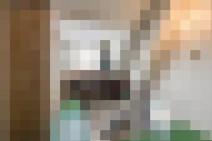 Meerlaan 13 Culemborg thumbnail 32