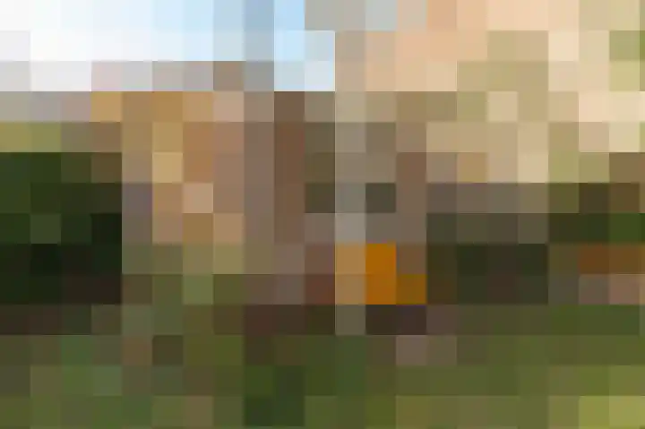 Meerlaan 19 Culemborg thumbnail 17