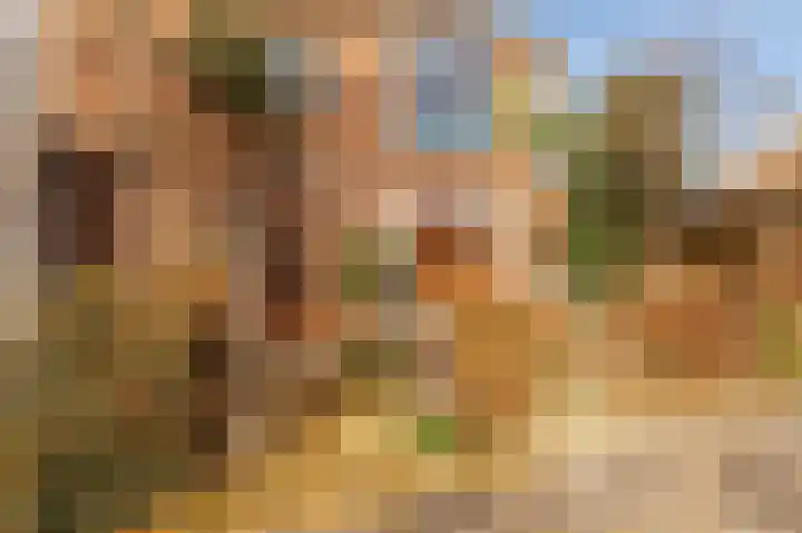Meerlaan 19 Culemborg thumbnail 37