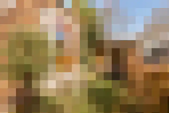 Meerlaan 19 Culemborg thumbnail 38