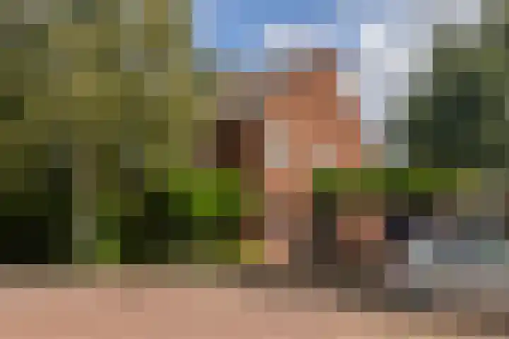 Meermanstraat 150 Delft thumbnail 40