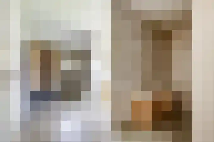 Meermuidenseweg 7 Twello thumbnail 19