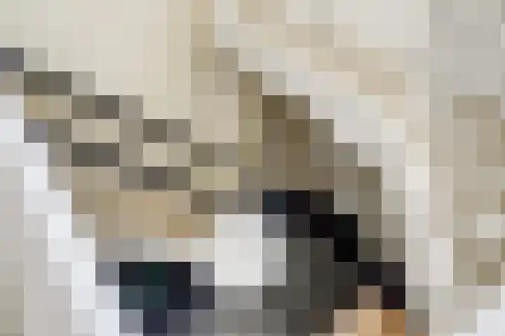 Meermuidenseweg 7 Twello thumbnail 21