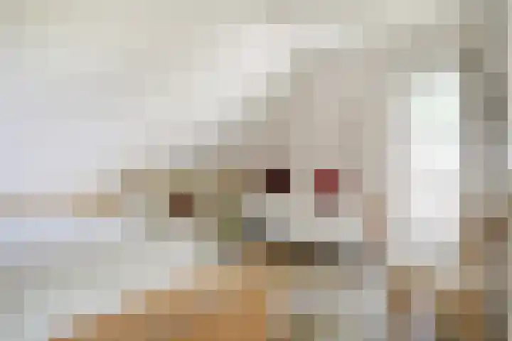 Meermuidenseweg 7 Twello thumbnail 24