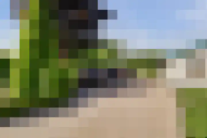 Meermuidenseweg 7 Twello thumbnail 30