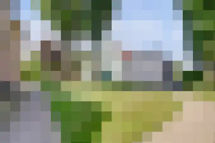 Meermuidenseweg 7 Twello thumbnail 31