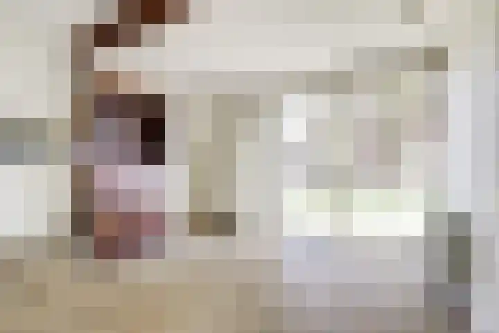 Meermuidenseweg 7 Twello thumbnail 32