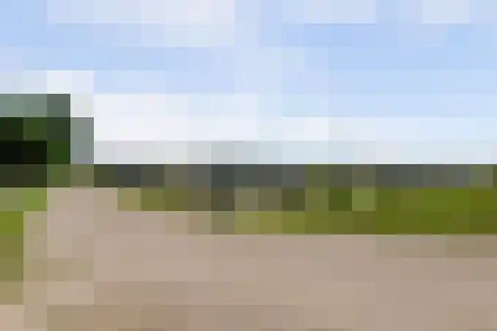 Meermuidenseweg 7 Twello thumbnail 38