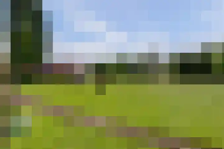 Meermuidenseweg 7 Twello thumbnail 39