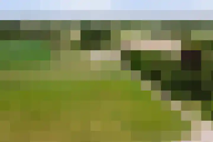 Meermuidenseweg 7 Twello thumbnail 43