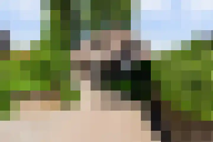 Meermuidenseweg 7 Twello thumbnail 44