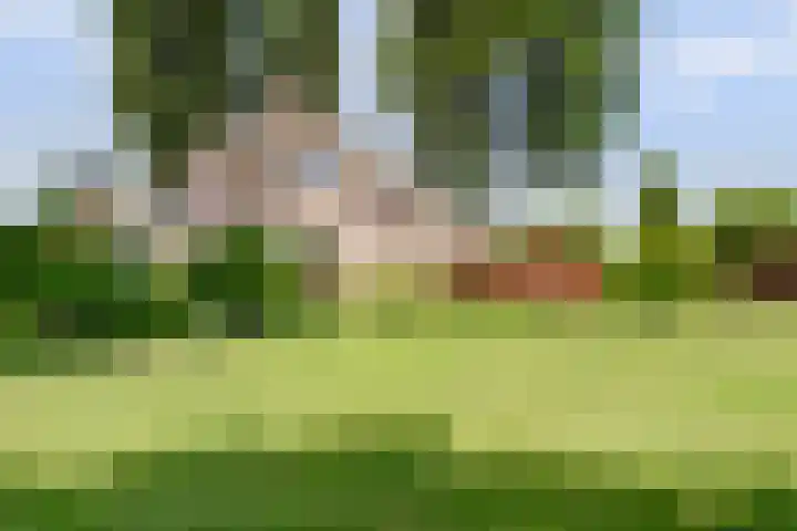 Meermuidenseweg 7 Twello thumbnail 45