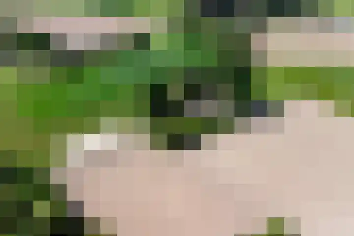 Meermuidenseweg 7 Twello thumbnail 49