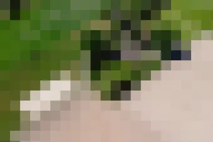 Meermuidenseweg 7 Twello thumbnail 5