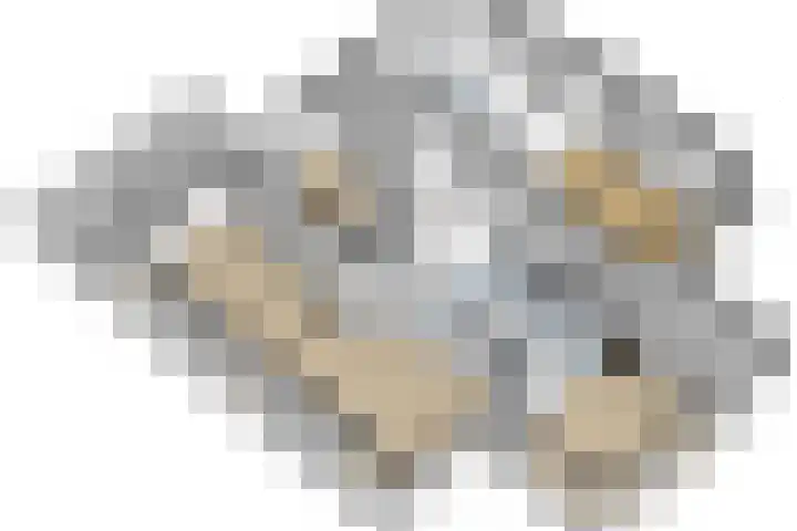 Meermuidenseweg 7 Twello thumbnail 51