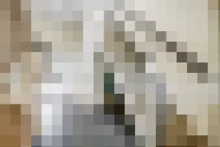 Meermuidenseweg 7 Twello thumbnail 6