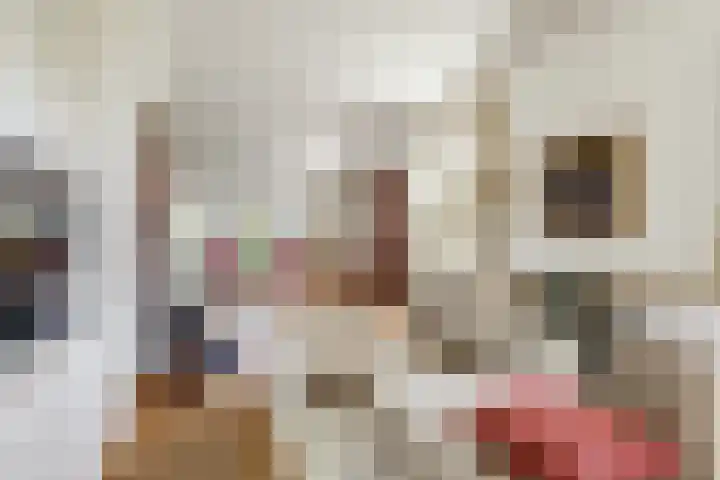 Meermuidenseweg 7 Twello thumbnail 8