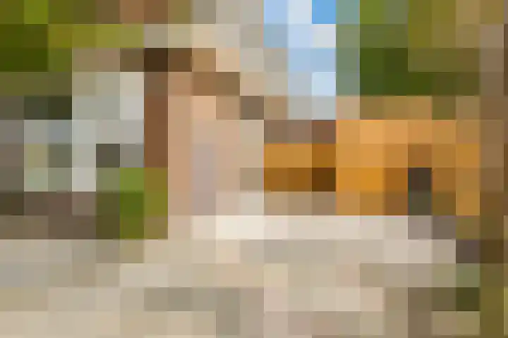 Meerndijk 58 De Meern thumbnail 11