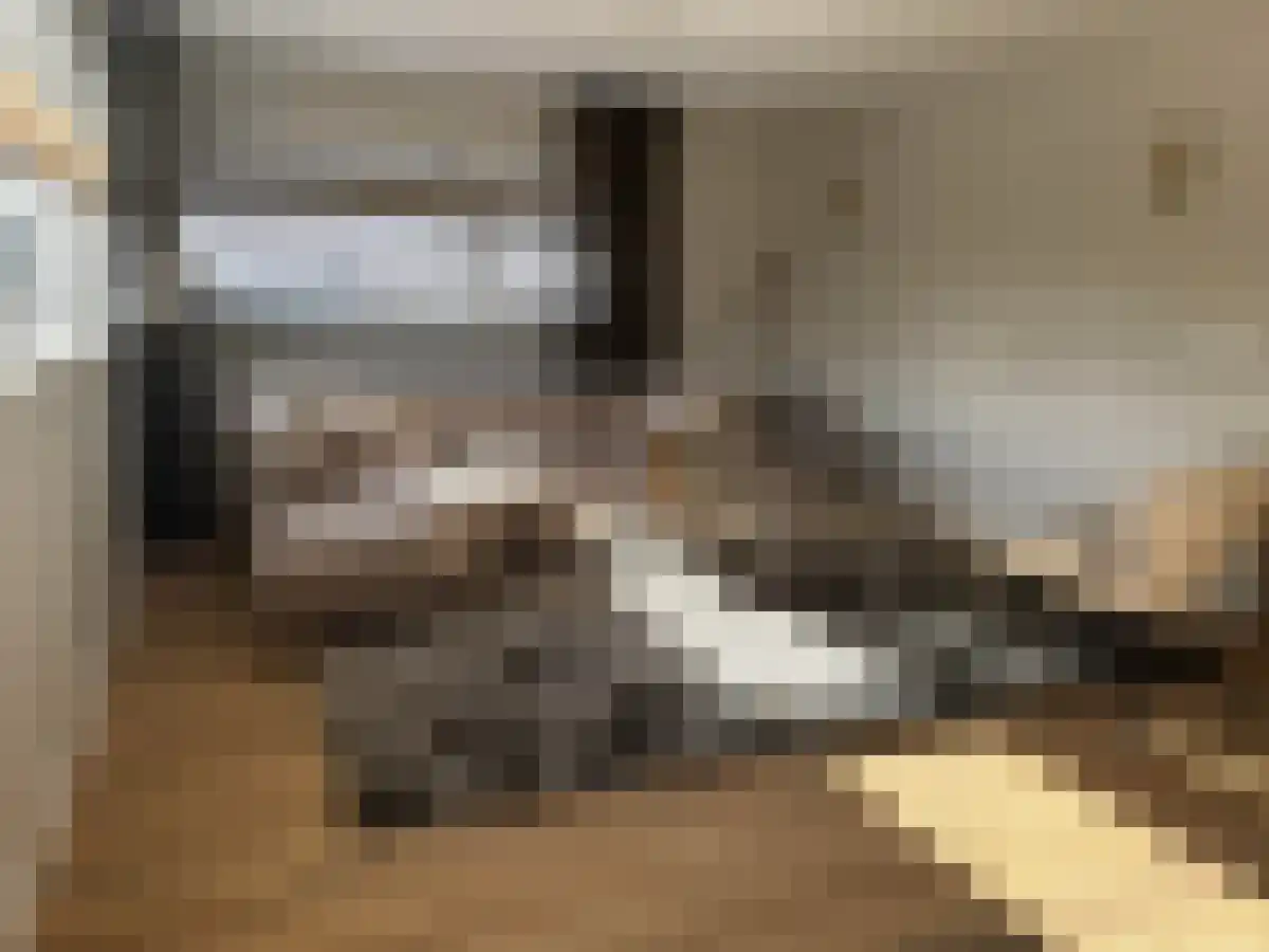 Meerndijk De Meern thumbnail 4